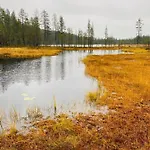 Iso-syoetteen Kelokolo Soarvesalvu Syöte