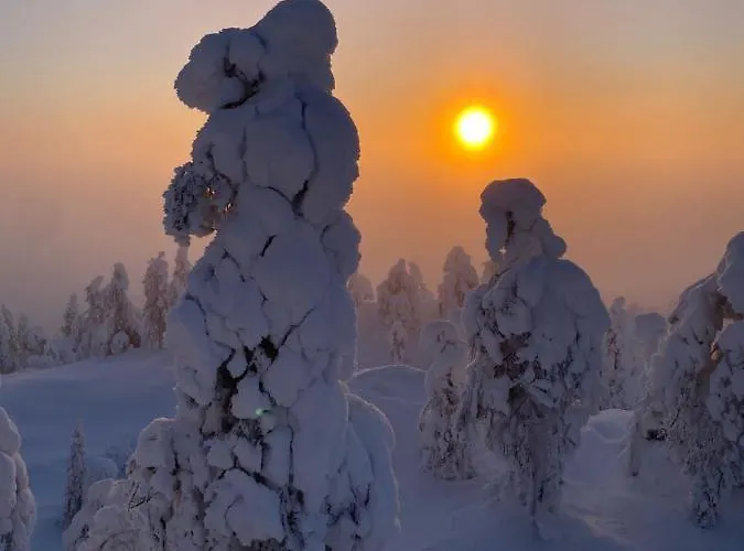 Iso-syoetteen Kelokolo Soarvesalvu *