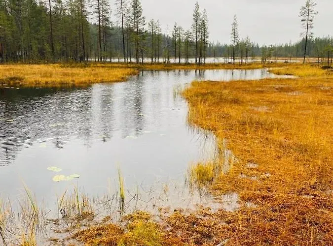 Iso-syoetteen Kelokolo Soarvesalvu Syöte